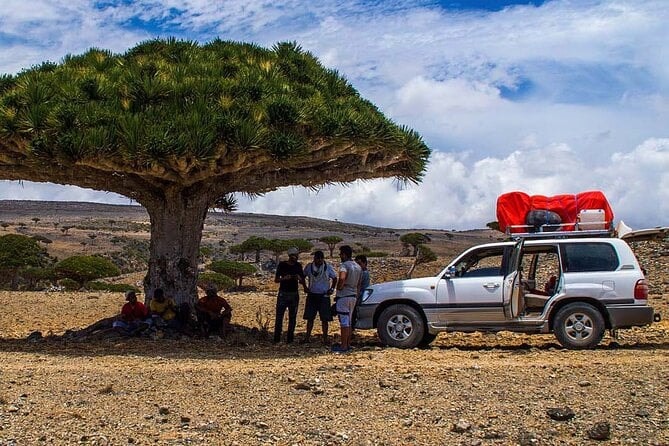 Socotra: a ilha que a evolução esqueceu e que vai mudar a forma como você enxerga o mundo
